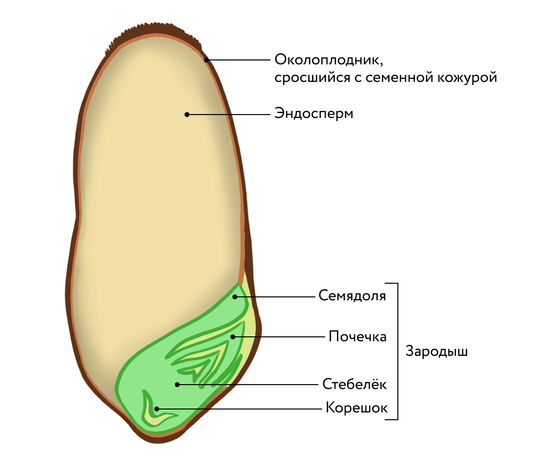 Биология