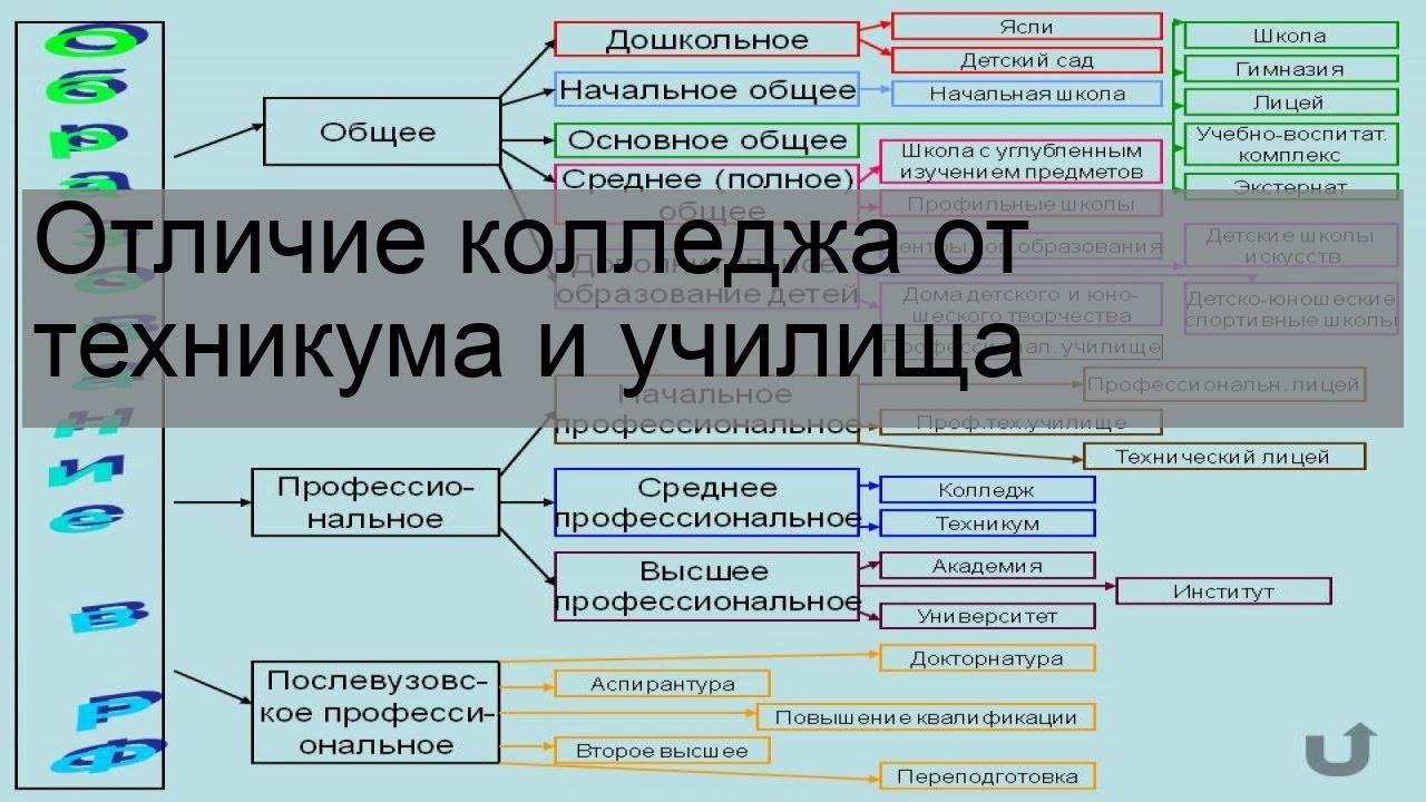 Чем отличается колледж от университета?
