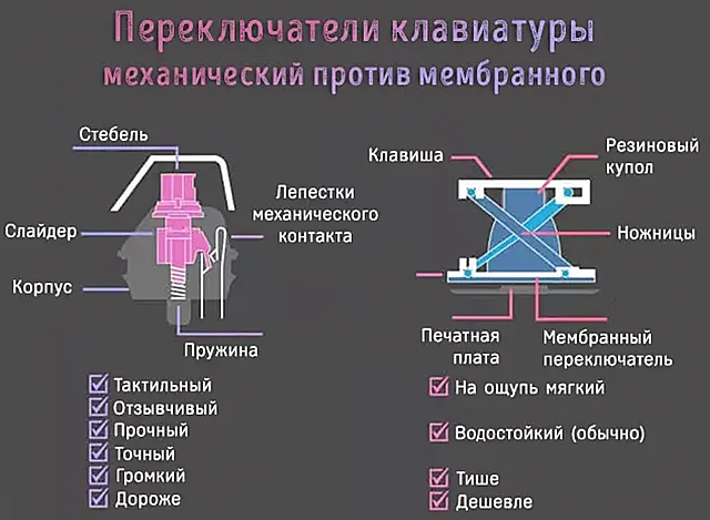 Отличие мембранной клавиатуры от механической: битва видов