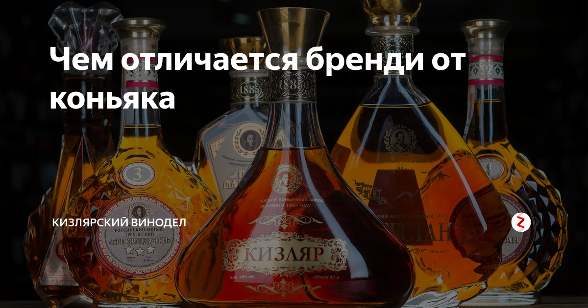 Отличие бренди от коньяка. в чем же соль?