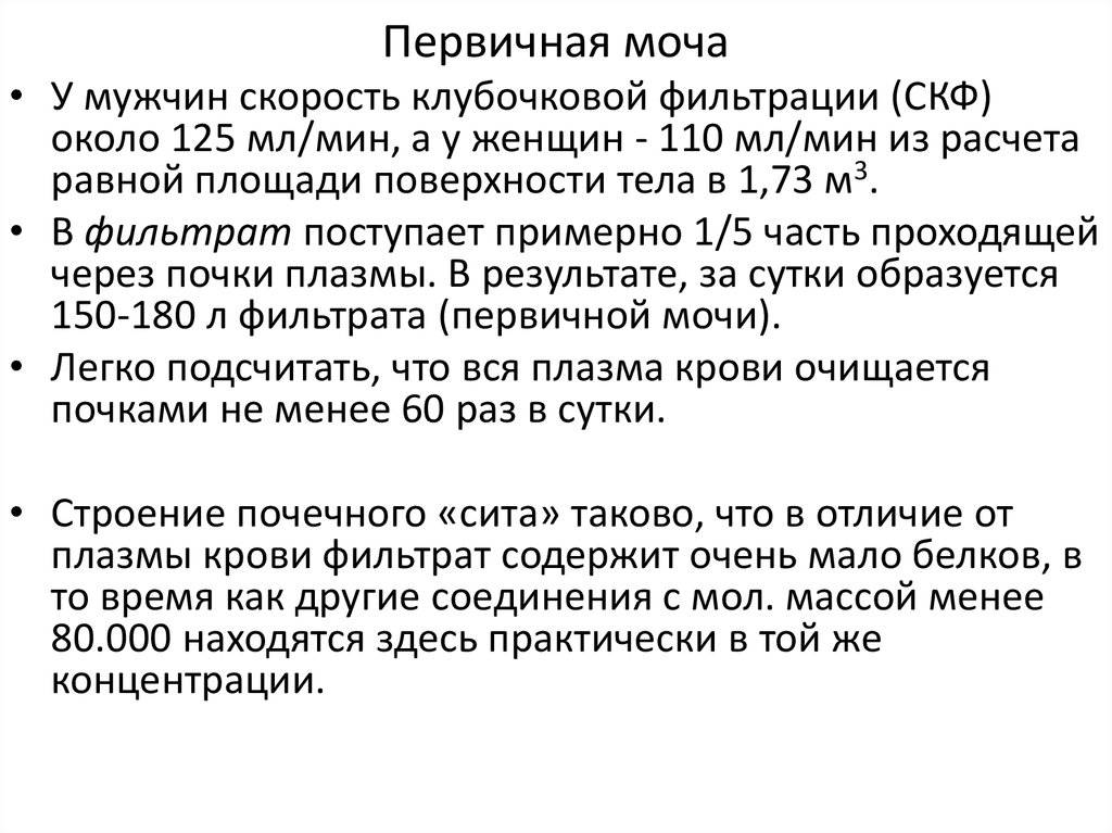 Образование первичной и вторичной мочи - особенности процессов в почках