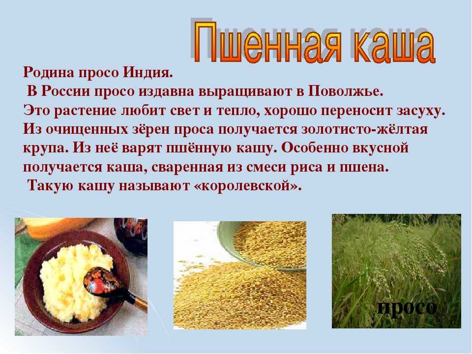 Просо: польза для здоровья