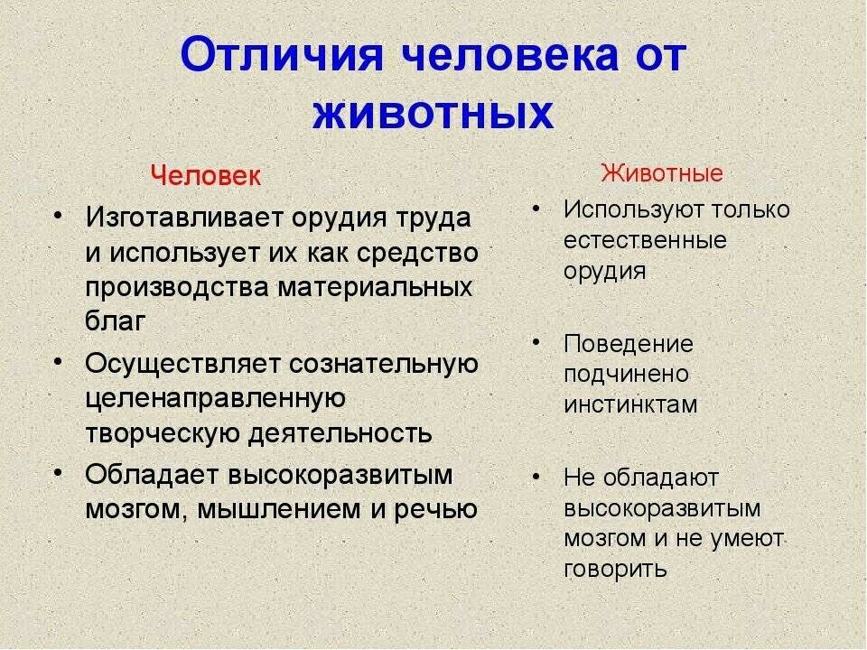 10 признаков, которые отличают человека от других животных