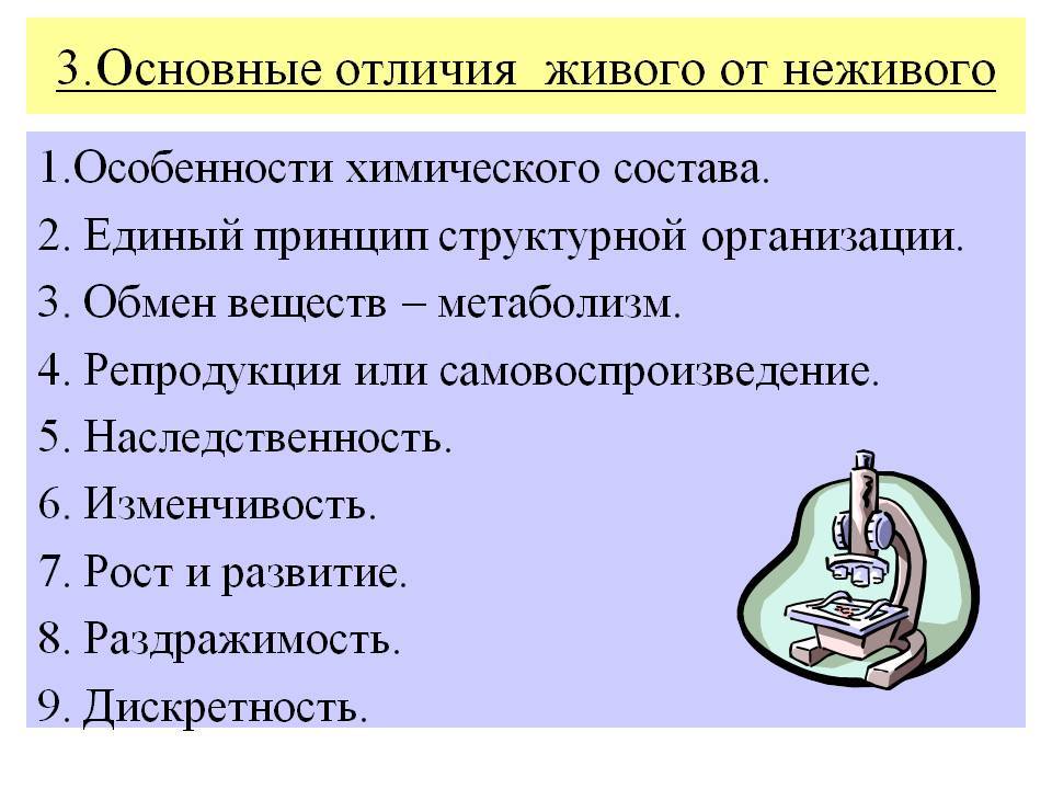 Основные отличия живых организмов от тел неживой природы