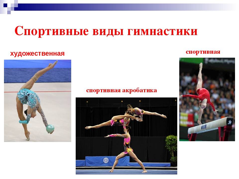 Чем отличается художественная гимнастика от спортивной акробатики