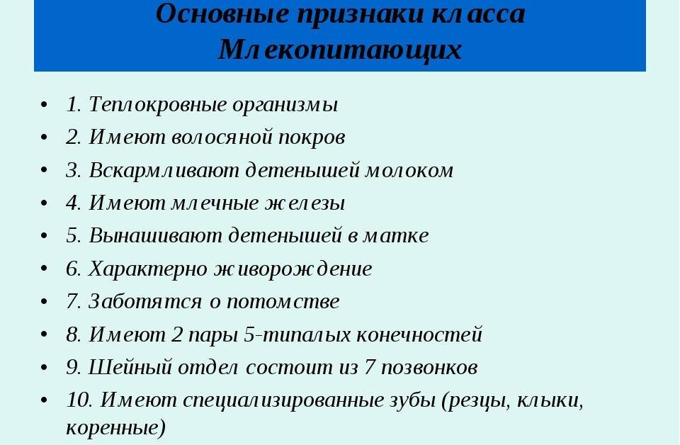 Характерные особенности и признаки млекопитающих животных