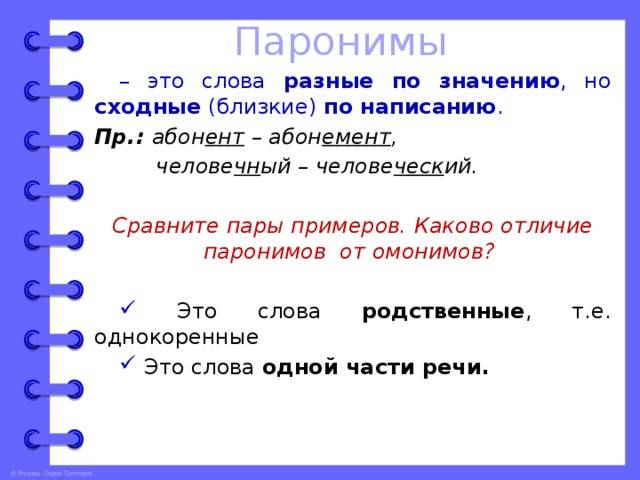 Синонимы антонимы омонимы паронимы: что это такое