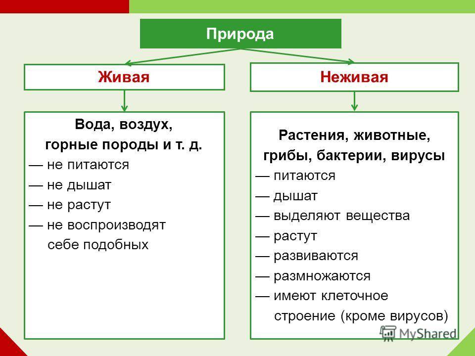 Живая и неживая природа