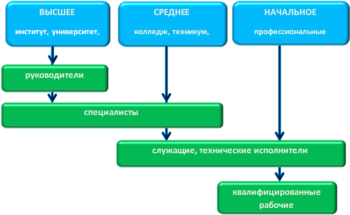 Уровни высшего образования