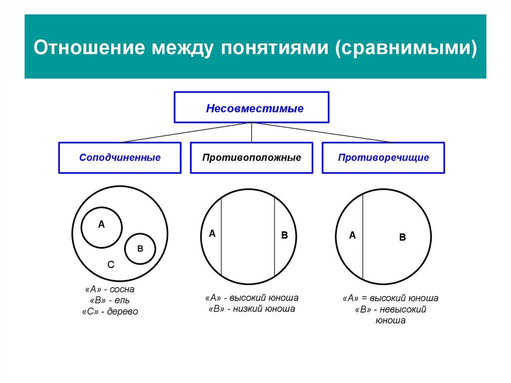 Структура и функция