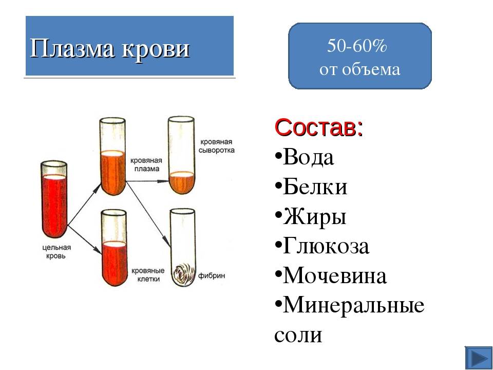 Отличие плазмы от сыворотки — chem otlichayetsya