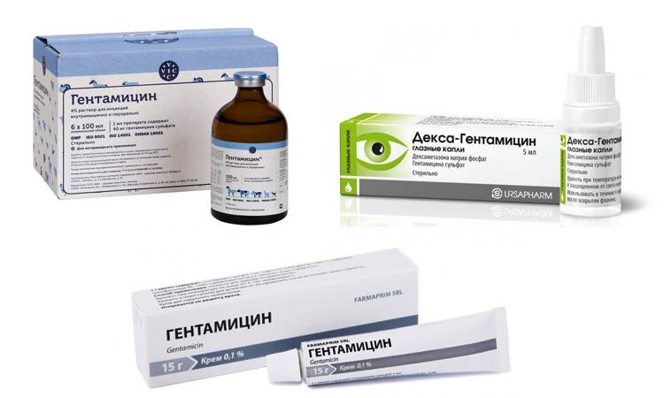 Гентамицин против цефтриаксона: что сильнее и что выбрать?