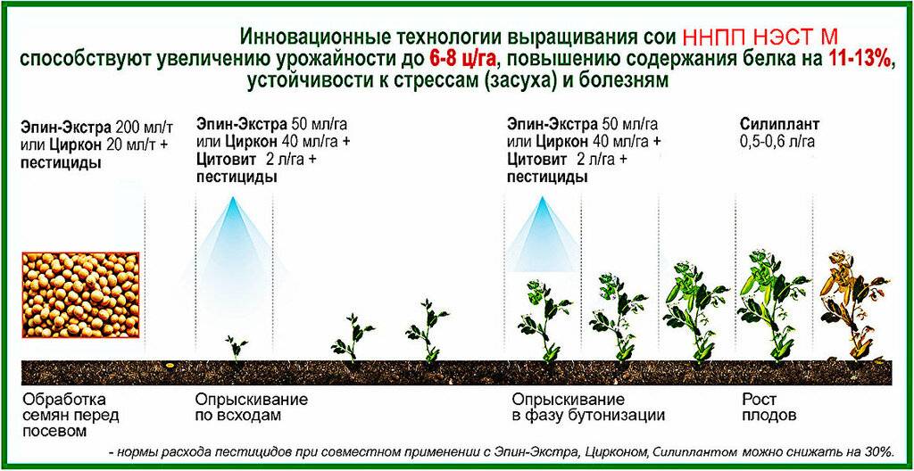 Эпин или циркон для растений: что выбрать?