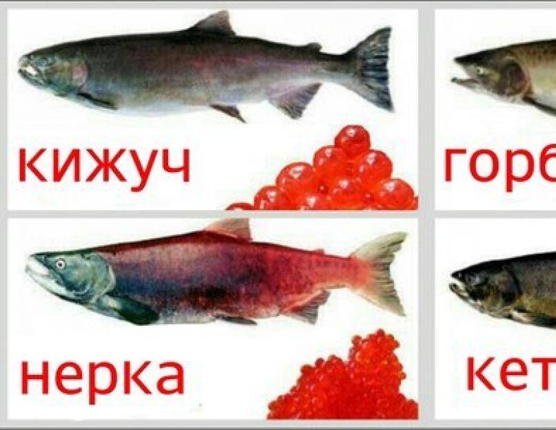 Топ-10. самая вкусная красная икра