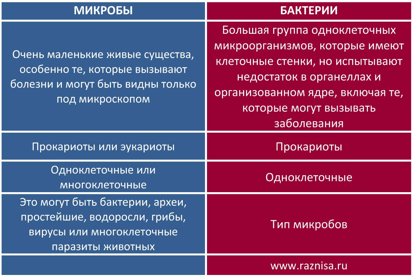 Чем отличается вирус от бактерии и что у них общего | в чем разница