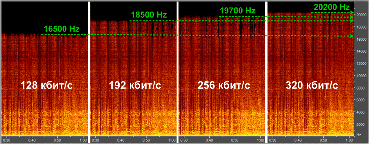 Что лучше: mp3 или mp4? разбираемся в технических спецификациях и качестве звука
