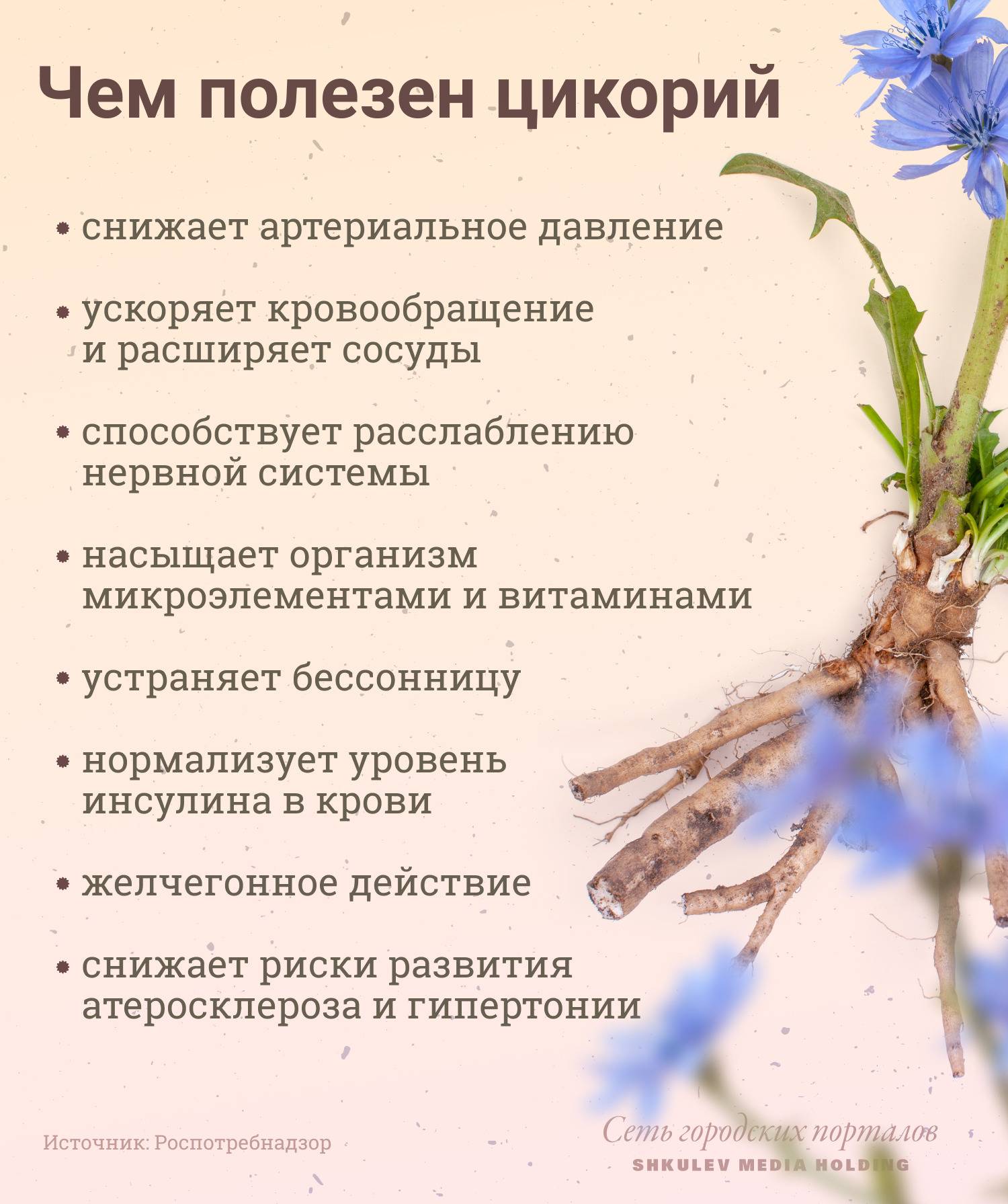 Что лучше и полезнее кофе или цикорий? | в чем разница