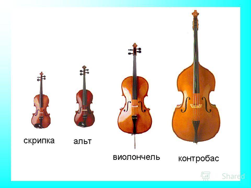 Начало творческого пути: как выбрать музыкальный инструмент - звук