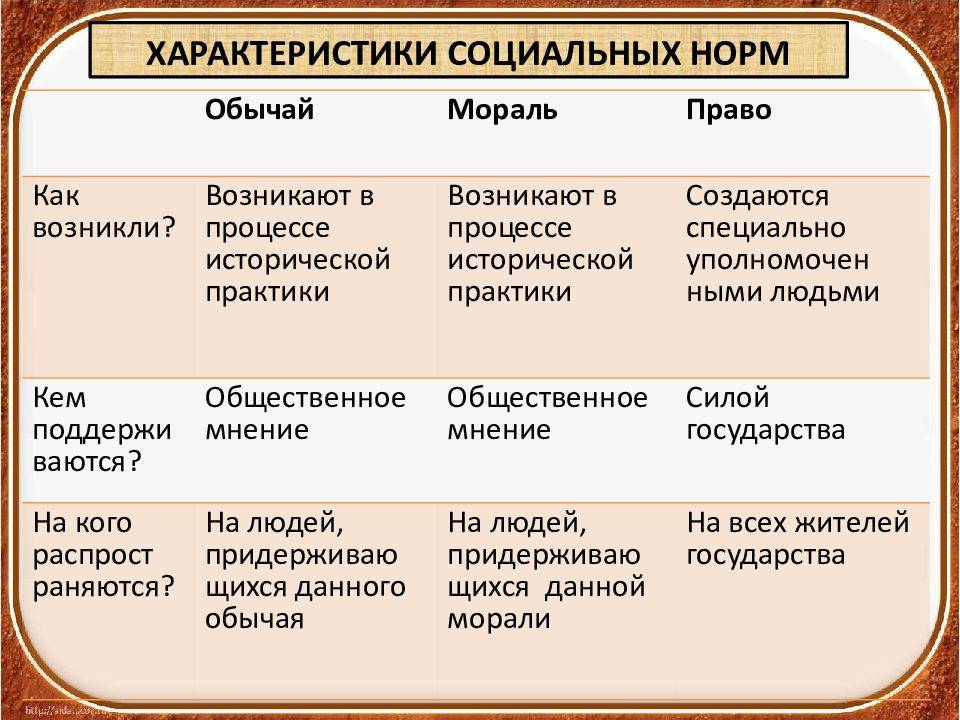 Чем отличается обычай от традиции кратко