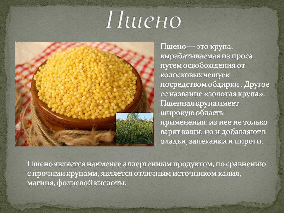 Разница между пшеном и просом, польза и вред