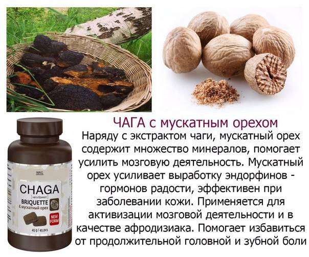Куда добавляют мускатный орех в кулинарии