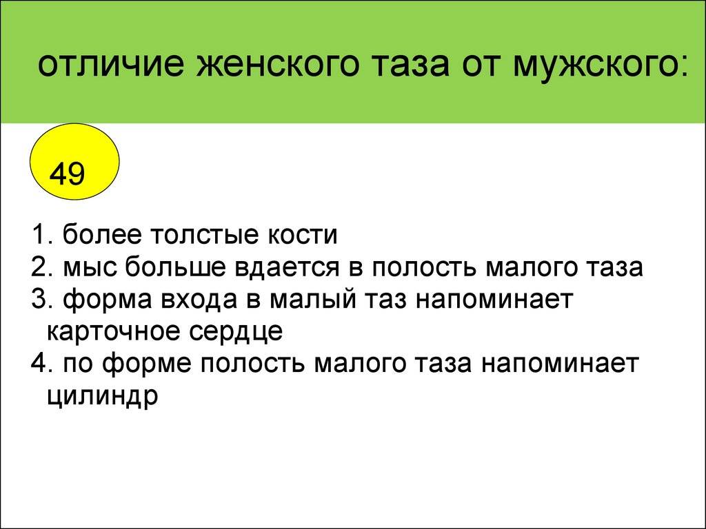Разница между мужским тазом и женским тазом (с таблицей) - наука 2024