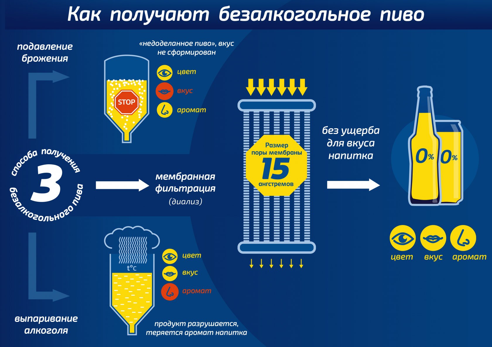 Что такое пиво и пивной напиток, в чем их отличия?
