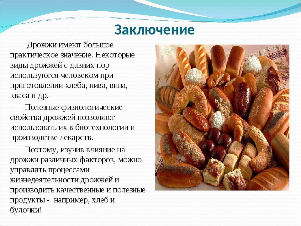Чем отличаются спиртовые дрожжи и хлебопекарные дрожжи - основные различия - stellarsyncs.ru