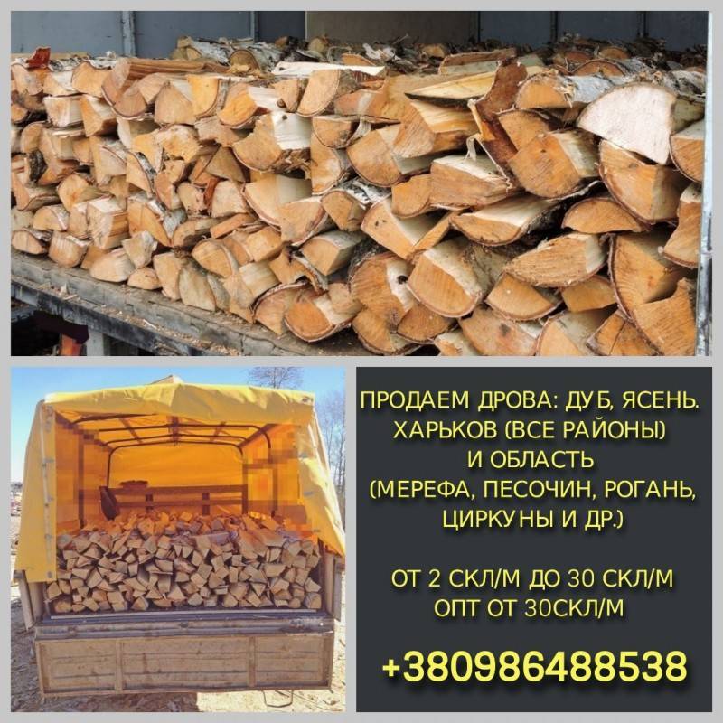 Дрова из ольхи или березы: какой вид лучше выбрать?