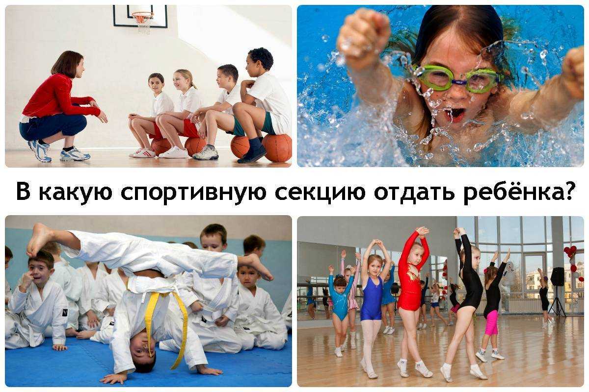 Спортивные секции для детей от 3 лет и кружки - куда можно отдать девочку и мальчика?