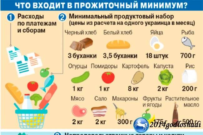 Прожиточный минимум и мрот выросли: какими будут пособия, больничные и декретные в 2024 году