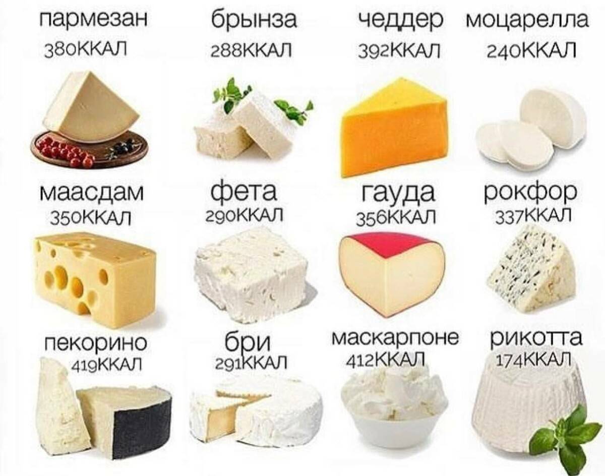 Отличия брынзы, феты и фетакса: что выделяет каждый сорт сыра