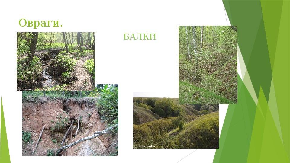 Разница между оврагом и балкой: особенности и причины образования