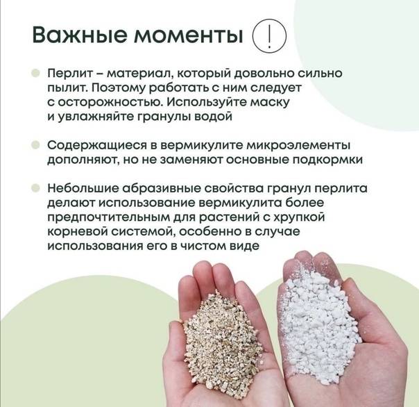 Перлит для растений как применять перлит или вермикулит что лучше для растений?