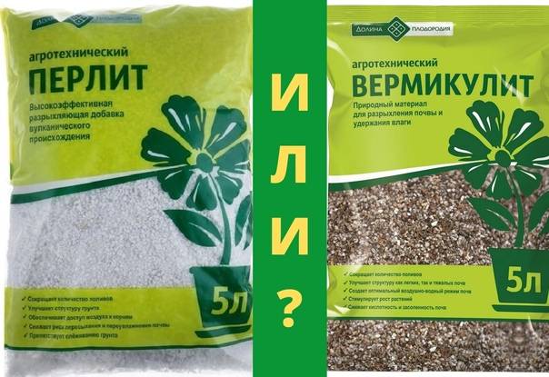 Перлит для растений: состав, особенности применения, аналоги, преимущества и недостатки - sadovnikam.ru
