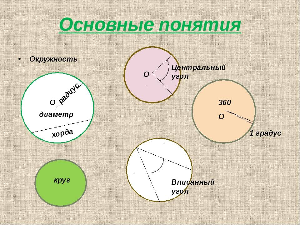 Окружность ⭐ в геометрии: определение, основные свойства, как построить