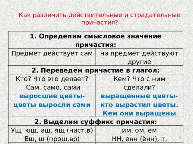 Урок 1: причастие - 100urokov.ru