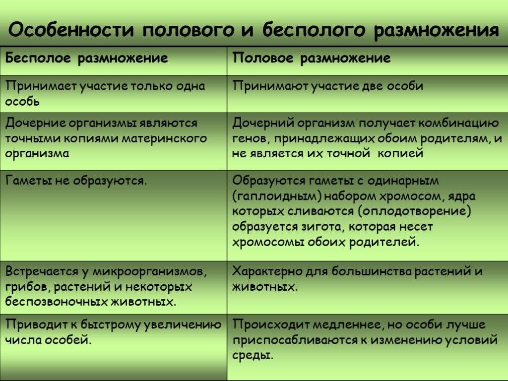 Размножение | virtual laboratory wiki | fandom