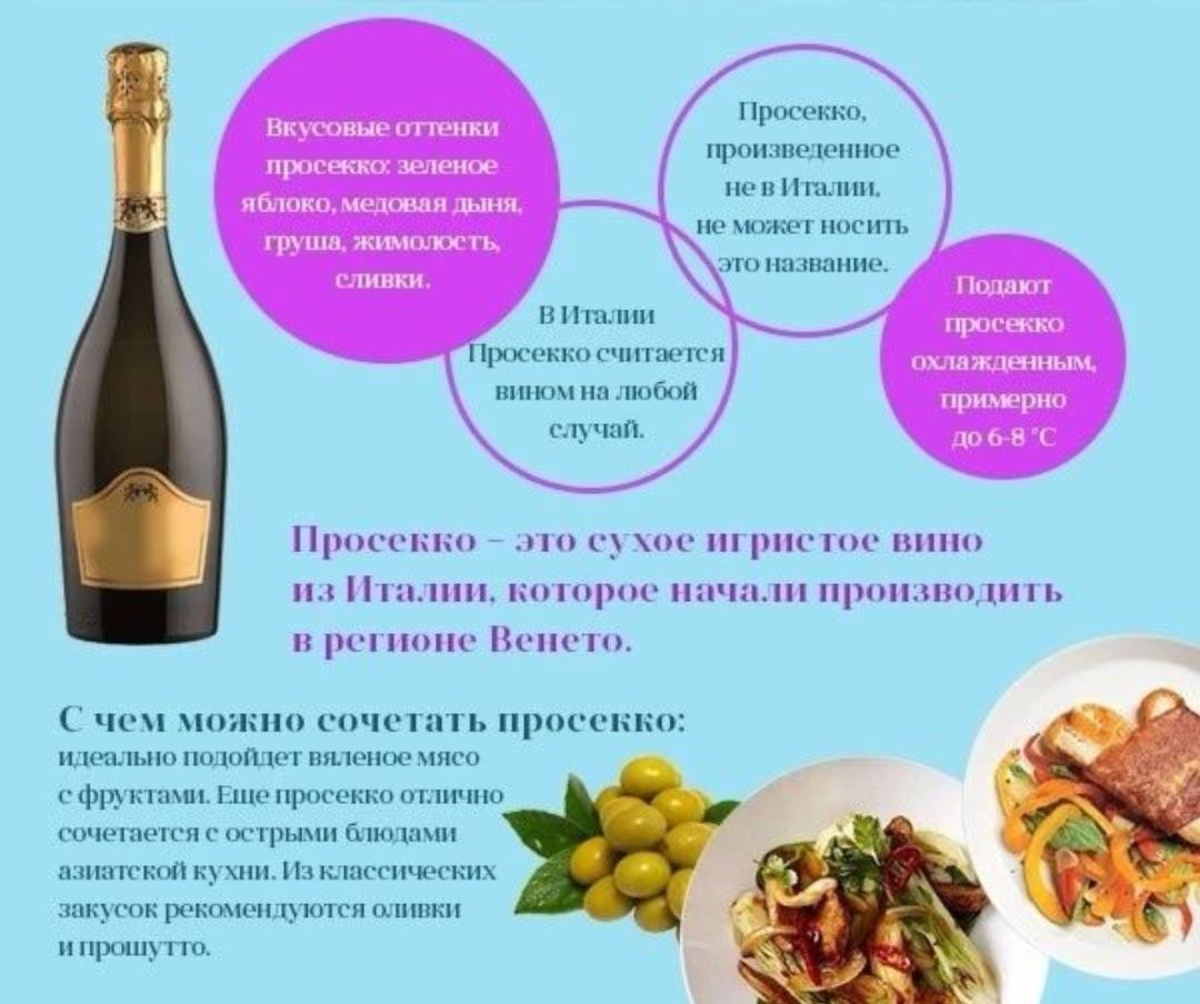 Отличие игристого вина от шампанского + виды и как выбрать
