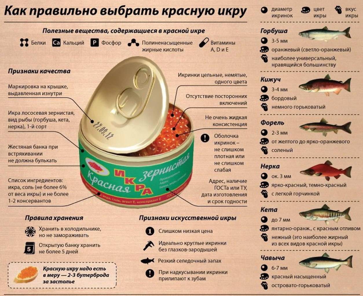 Как выглядит рыба кета и чем она отличается от горбуши?