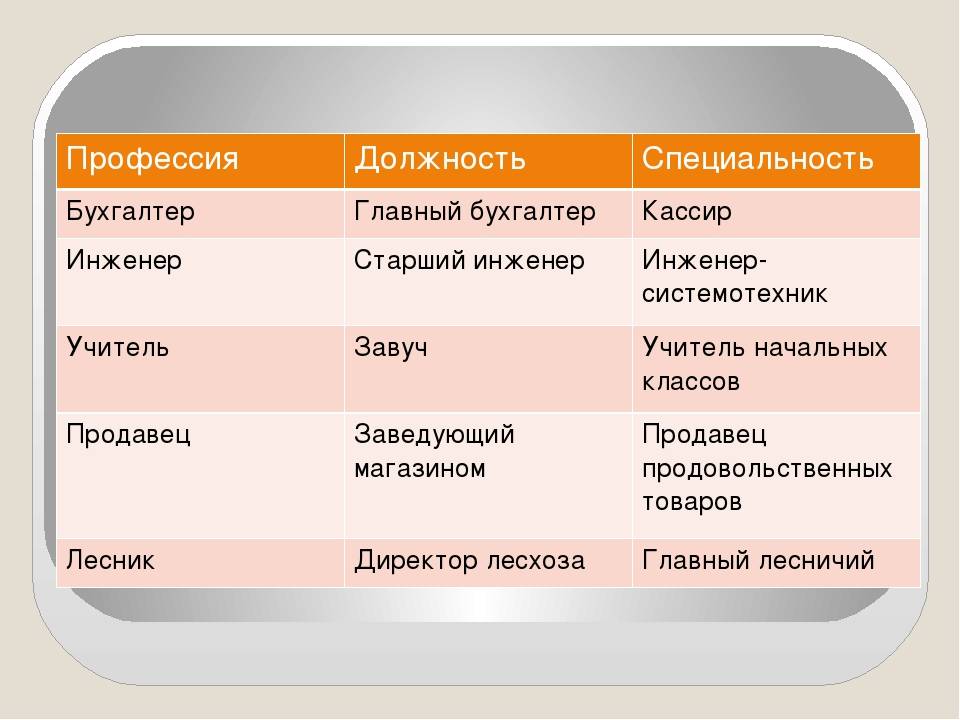 Разница между профессией и специальностью: примеры и объяснения