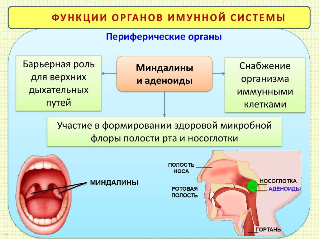 Нмо хронический тонзиллит тест с ответами