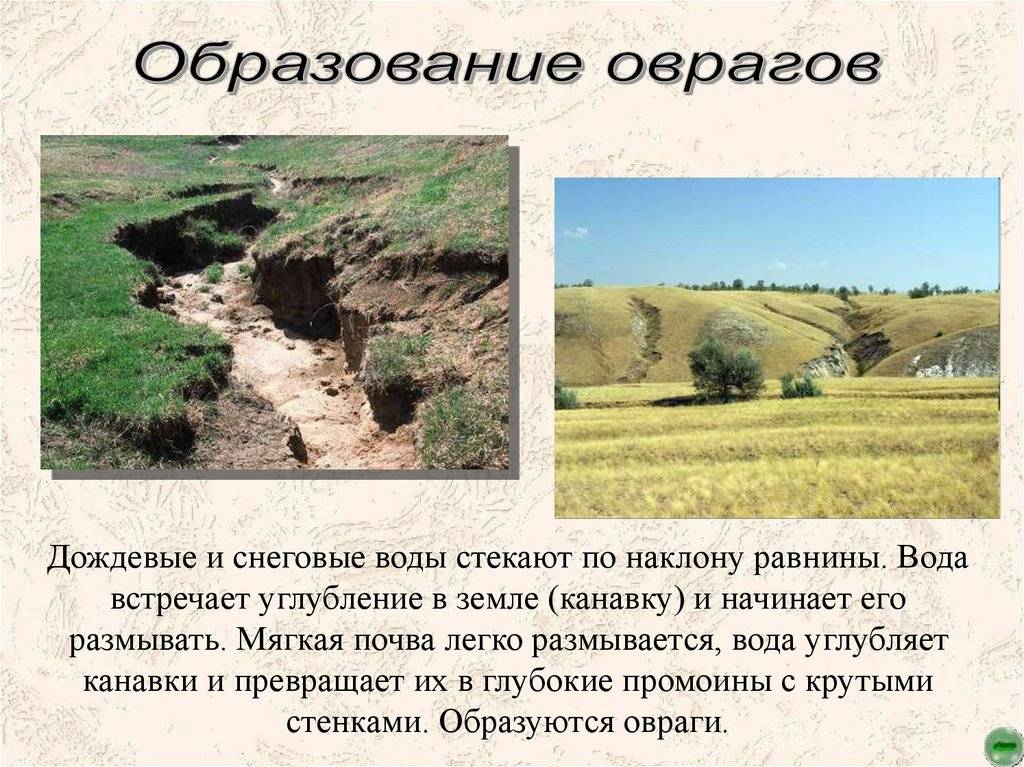 Разница между балкой и оврагом.