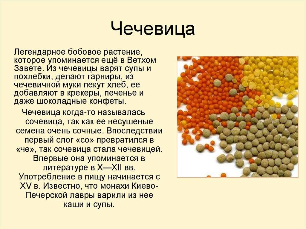 5 причин полюбить чечевицу. какую выбирать и как готовить | simpleslim