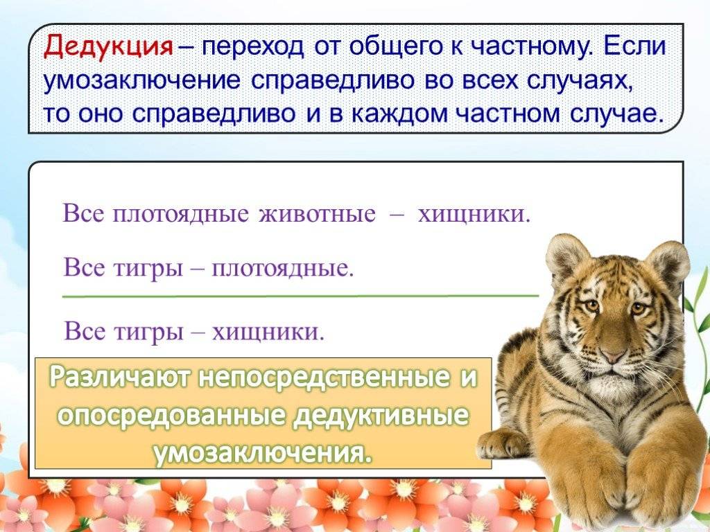 Дедукция и индукция - понятие, отличия, принципы