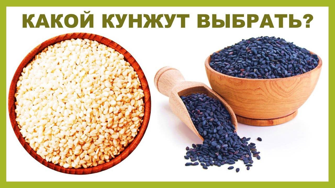 Кунжутное семя: полезные свойства и противопоказания. белые и черные семечки кунжута