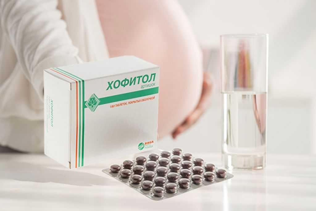 Хофитол или аллохол: что лучше? сравнение препаратов