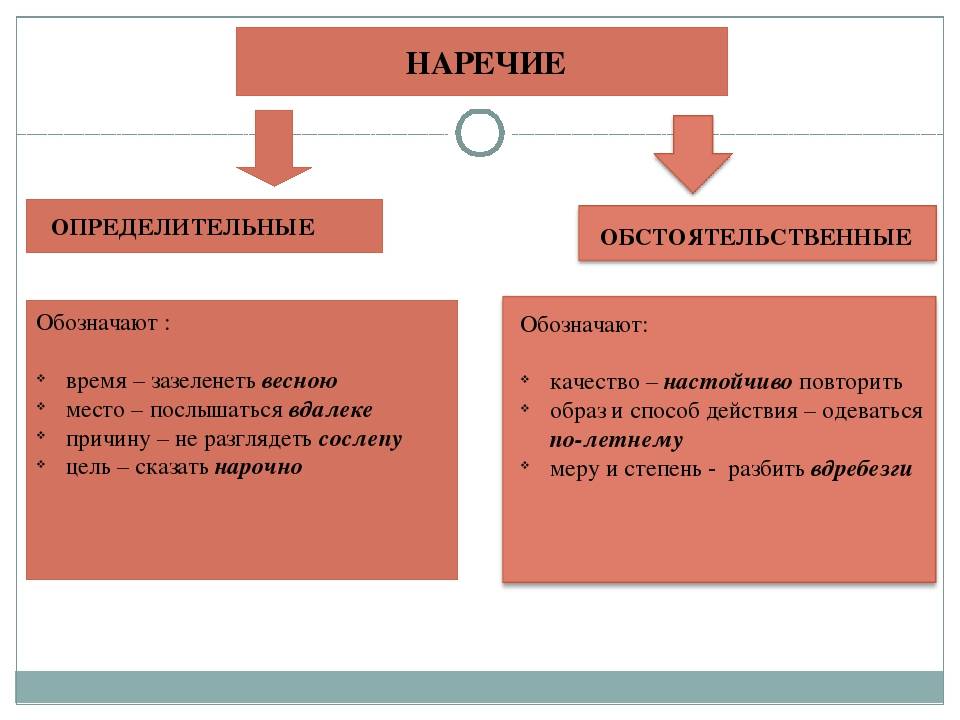 Что такое юридическое лицо и в чём его отличие от физического лица - блог platrum