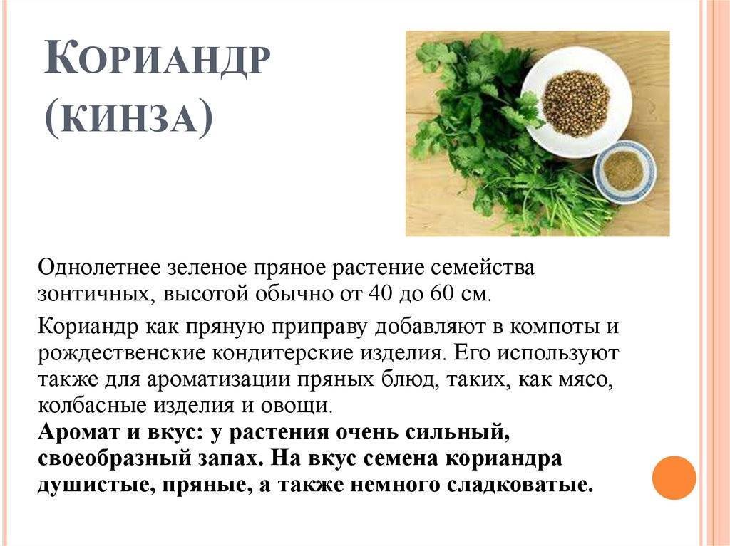 5 лучших альтернатив кориандру в маринаде для мяса