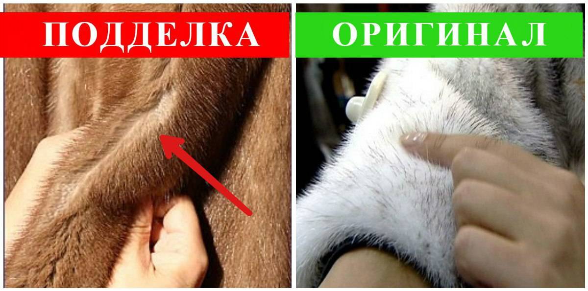 Как отличить норку от подделки: проверка качества норковой шубы при покупке